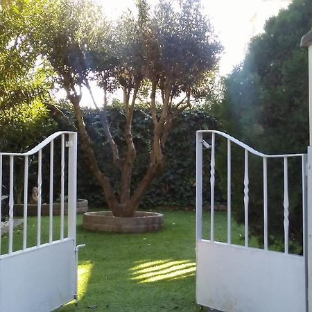 Bodega Intima Διαμέρισμα Σαραγόσα Εξωτερικό φωτογραφία